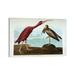 East Urban Home Scarlet Ibis by John James Audubon - Wrapped Canvas Painting Print Canvas in Brown/Green | 8 H x 12 W x 0.75 D in | Wayfair