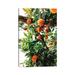 East Urban Home Amalfi Coast Oranges II by Bethany Young - Wrapped Canvas Photograph Print Canvas in Green/Orange | 12 H x 8 W x 0.75 D in | Wayfair