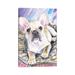 East Urban Home Cream French Bulldog Puppy by George Dyachenko - Wrapped Canvas Painting Print Canvas in Brown/Gray | 12 H x 8 W x 0.75 D in | Wayfair