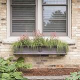 Winston Porter The Anastasiya Resin Window Box Planter w/ Water Reservoir in Brown | 10.8 H x 60 W x 11 D in | Wayfair 5824-ES