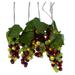 Kurt S. Adler 56021 - 16.5' 100 Light Silver Wire Green/Burgundy Grape Cluster Lights String (AD1013A)