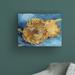Winston Porter Sunflowers 1887 by Vincent Van Gogh - Wrapped Canvas Graphic Art Canvas, Wood in Blue/Brown/Green | 14 H x 19 W x 2 D in | Wayfair