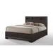 Red Barrel Studio® Madison II Twin Storage Standard Bed Metal in Brown | Queen | Wayfair 63F3F0866AE04C05BE0935F9602E7A11