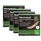 Nemasys Leatherjacket Killer nematode treatment (400 sqm)