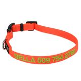 Personalized Orange Dog Collar with Custom Embroidery, X-Small