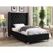 Everly Quinn Joclynn Solid Wood Tufted Low Profile Platform Bed Upholstered/Velvet in Black | 56 H x 50 W x 74 D in | Wayfair