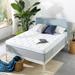 Queen Medium 10" Gel/Foam Mattress - Mellow Olaf Snowcloud Top Gel Memory Foam | 59 H x 79 W 10 D in Wayfair WA-MLGM-10Q