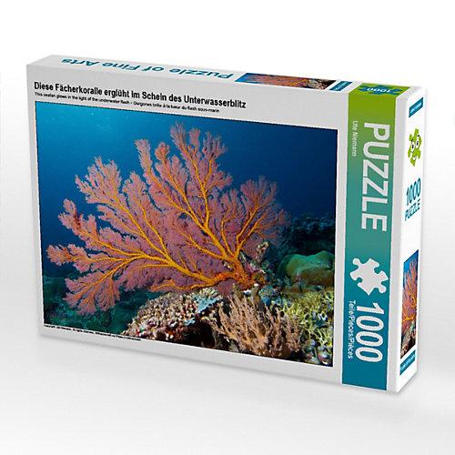 Puzzle CALVENDO Puzzle Diese Fächerkoralle erglüht im Schein des Unterwasserblitz - 1000 Teile Foto-Puzzle glückliche Stunden Kinder