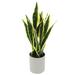 AllModern Artificial Sansevieria Snake Plant in Pot Plastic | 18 H x 9 W x 6 D in | Wayfair A72DCA18829444CCA64FEE82A9404DD0