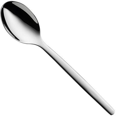AlessiDry 9-1/2-Inch Serving Spoon with Satin Handle 