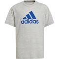 ADIDAS Kinder Shirt T-Shirt Badge of Sport Sum, Größe 164 in Grau Melange/Blau