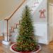 Three Posts™ Melby Dunhill Fir Slim Green Artificial Christmas Tree w/ Multi-Color Lights Metal | 6.5' H | Wayfair A0F5BB324B4E443ABEF2F96B3EDC1C66
