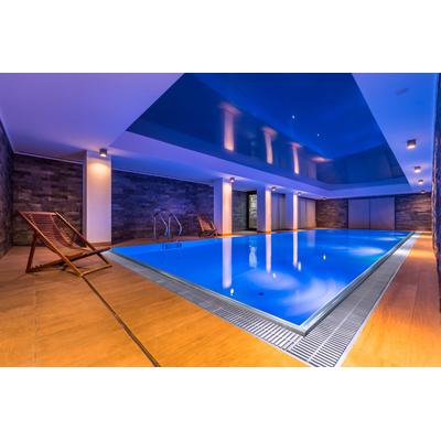 Edelstahlpool mit Überlauf 3x7m Image
