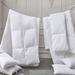 Beautyrest Tencel/Cotton Blend Down Comforter - Light Warmth Duck Down in White | 90 H x 68 W x 1 D in | Wayfair BR012521