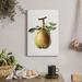 Gracie Oaks Vintage Pear Illustration II - Wrapped Canvas Graphic Art Canvas in Blue/Green/Indigo | 27 H x 18 W x 1 D in | Wayfair