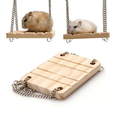 Balançoire en bois SFP pour petits animaux de compagnie produits pour animaux de compagnie