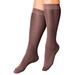 Plus Size Women's 3-Pack Knee-High Support Socks by Comfort Choice in Dark Coffee (Size 1X) Tights