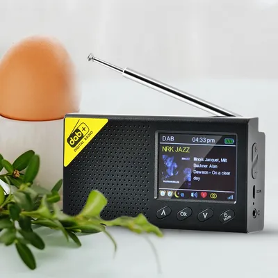 Radio numérique Portable 5.0 DAB/DAB + et récepteur FM lecteur Audio de radiodiffusion Rechargeable