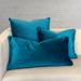 Rodeo Home Ice Luxury Solid Velvet Decorative Pillow with Insert (3 Sizes)