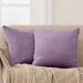 Deconovo Velvet Soft Throw Pillow Covers 2 PCS(Cover Only)