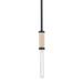 Troy Lighting Cruiz 1 Inch Large Pendant - F6701-SBK