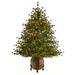 The Holiday Aisle® 5' 6" H Green Pine Cashmere Christmas Tree w/ 250 LED Lights & Pinecones in Green/White | 66 H x 36 W in | Wayfair