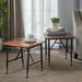 Eleanora Industrial Acacia Wood End Table (Set of 2) by Christopher Knight Home