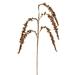 Vickerman 679531 - 27" Gold Glitter Setaria Spray (3 pack) (EH212408)