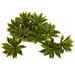Mini Agave Succulent Plant (Set of 12) - 5"D x 5"H x 5"W