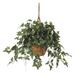 English Ivy Hanging Basket Silk Plant - 36"W x 36"D x 26"H