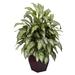 Silver Queen with Decorative Planter Silk Plant - 38"H x 30"W x 28"D