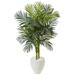 4.5' Golden Cane Palm Tree in White Oval Planter - 33"D x 33"W x 54"H