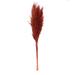 Vickerman 685358 - 46" Bordeaux Pampas Grass 6Pk (H2PPS475-6) Dried and Preserved Grass