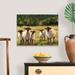 August Grove® Sheep Family I Canvas Wall Art Canvas | 18 H x 24 W x 1 D in | Wayfair FD59F5161CE4498DA7043C4B0469F02C