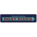 Lizton Sign Shop, Inc Boat Rides Arrow Aluminum Sign Metal in Blue/Gray | 4 H x 18 W x 0.04 D in | Wayfair 1232-A418