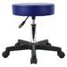 Inbox Zero Round Rolling PU Leather Height Adjustable Lab Stool Manufactured Wood/Metal in Blue | 22.8 H x 20.5 W x 14 D in | Wayfair