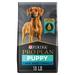 Chicken & Rice Formula Large Breed Dry Puppy Food, 18 lbs.