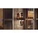 Charlton Home® Washington Mews 3 - Bulb 22.5" H Beveled Outdoor Wall Lantern Brass/Metal in Black/Brown | 22.5 H x 12.25 W x 12.25 D in | Wayfair