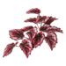 Vickerman 668764 - 12" Red Begonia Hanging Bush 3Pk (FB170701-3) Home Office Flower Bushes