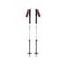 Black Diamond Expedition 2 Ski Poles 145 BD11158900001451