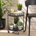 Dallan Modern Industrial Metal 2-Tier Kitchen Cart