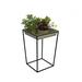 Winston Porter Moorgate Plant Stand Metal in Gray | 22.25 H x 15 W x 15 D in | Wayfair F69F5D81D897449EA6136FB05C87C7B0