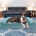 FurHaven Plush & Suede Memory Foam Sofa Style Pet Bed Metal in Gray | 9.5 H x 53 W x 42 D in | Wayfair 65636087