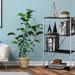 Latitude Run® 42" H x 24" W Metal Standard Bookcase Metal in Black | 42 H x 24 W x 11 D in | Wayfair 37E11039584949FFB921CEE2CC477B47