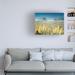 Highland Dunes Beach Grass by Dennis Frates - Wrapped Canvas Photograph Canvas, Wood in White/Black | 35 H x 47 W x 2 D in | Wayfair