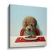 Winston Porter Puppy Chow - Graphic Art on Canvas in Blue/Brown/Red | 18 H x 18 W x 2 D in | Wayfair 58D0E1496CE04CEF948293ABFED257D5