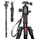SMALLRIG 78" Camera Tripod, Aluminum Tripod & Monopod with 360°Ball Head and Quick Release Plate for Arca-type, 18.5" - 78" Adjustable Height Travel Tripod for Camera, Phone, Payload 33lb - 3474C