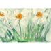 Winston Porter Daffodils Orange & White I by Samuel Dixon - Wrapped Canvas Painting Canvas in Green/Orange/White | 8 H x 12 W x 1.25 D in | Wayfair