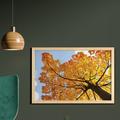 East Urban Home Ambesonne Leaves Wall Art w/ Frame, Autumn Maple Tree From Bottom To Top View Environment Flora Season November Print | Wayfair