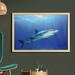 East Urban Home Ambesonne Shark Wall Art w/ Frame, Fish In The Exotic Ocean Dreamy Water w/ Surreal Color Underwater World Image | Wayfair